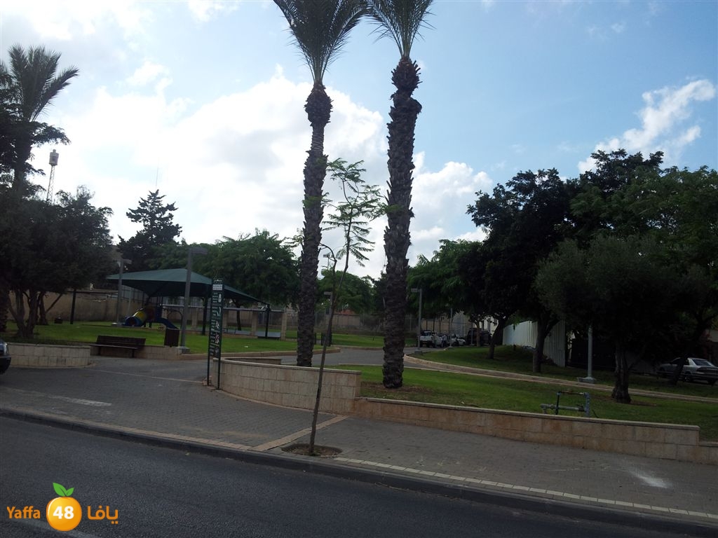 mahrajan thaqafa (2).jpg